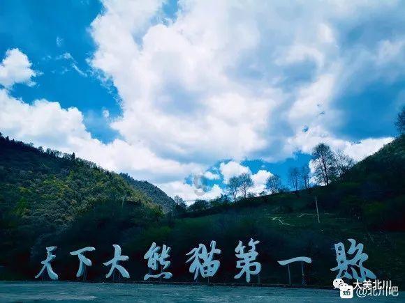 有谁知道这是什么字体？是发票上的